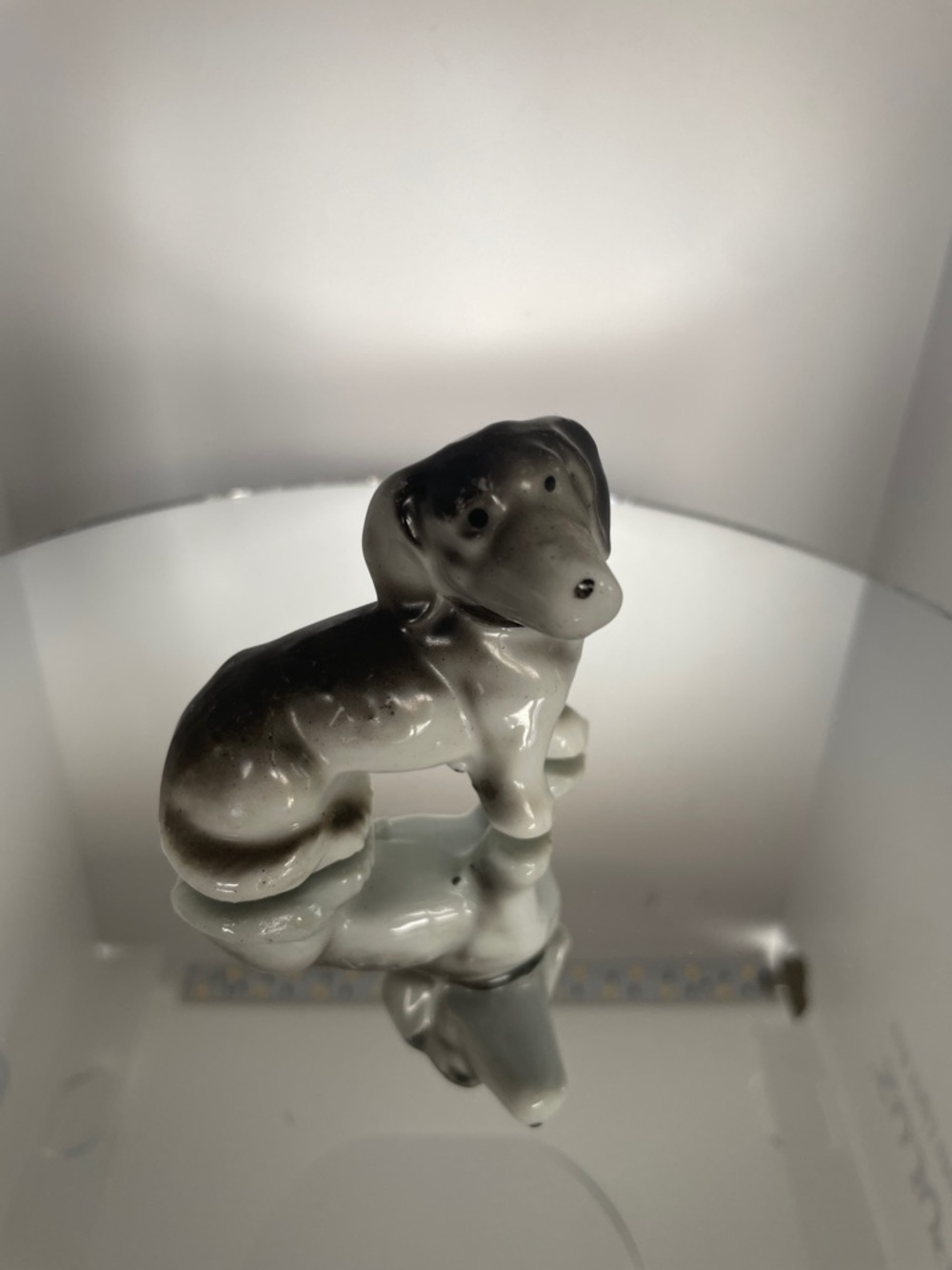 Porcelain Dachshund Figurine in Glossy White and Gray